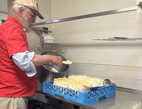Behind the scenes of our cheese making process